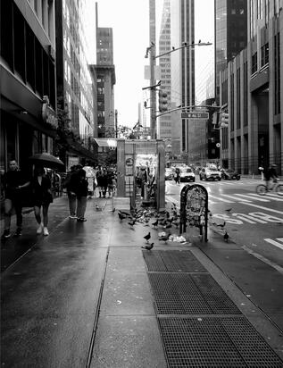 Untitled Untitled