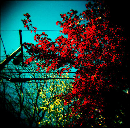 Untitled Untitled