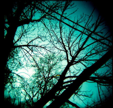 Untitled Untitled